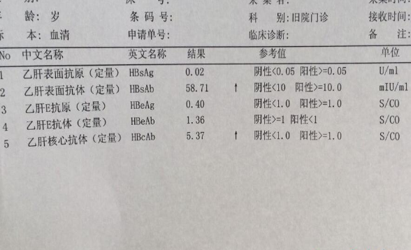乙肝两对半是什么？乙肝