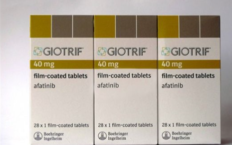 <b>阿法替尼(AFATINIB)在肺癌中的用药靶点总结</b>药厂实拍