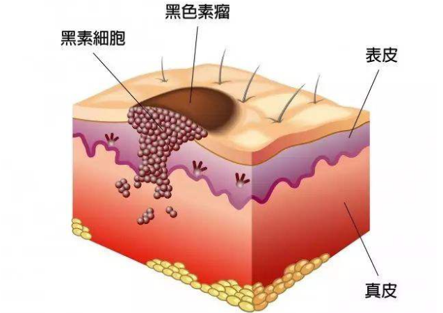 帕博利珠单抗是免疫治疗适用最广泛的药物药厂实拍