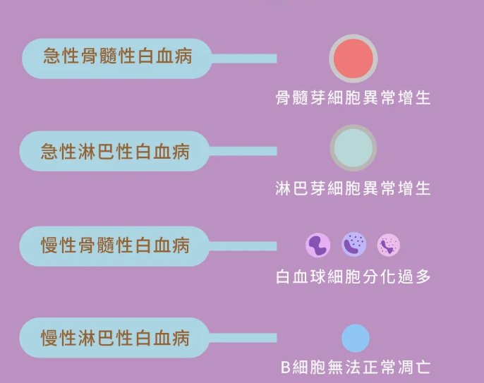 维奈托克