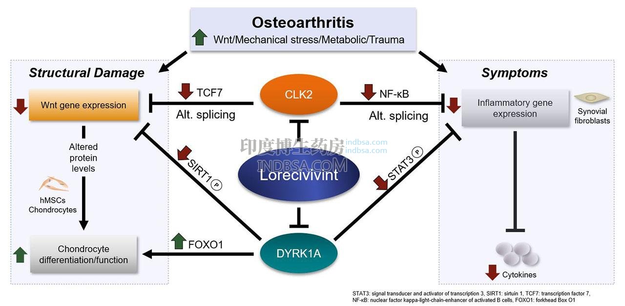 Lorecivivint Lorecivivint